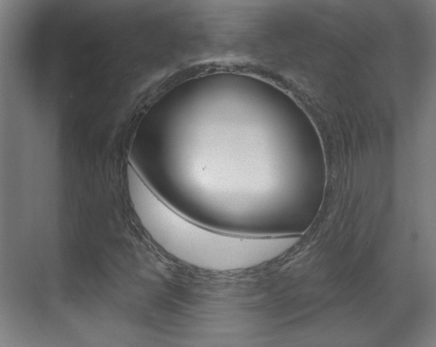 X0000070161398200605260926