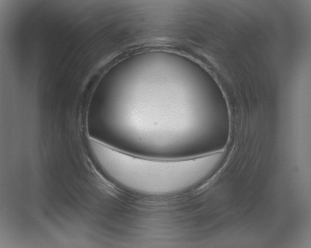 X0000070161402200605260927
