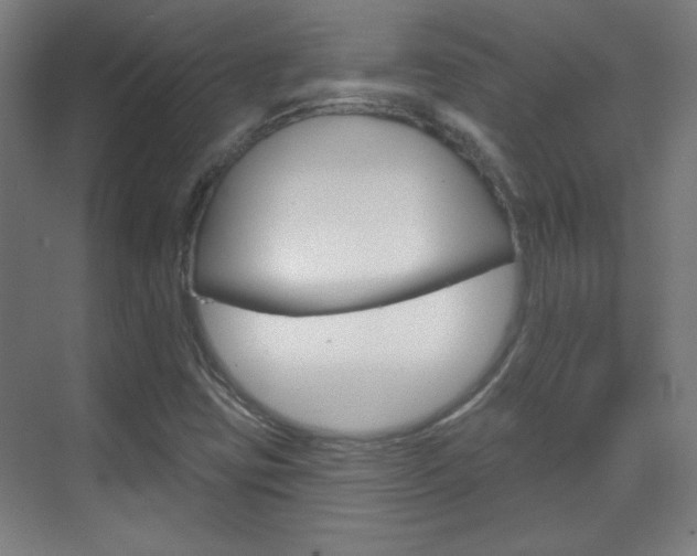 X0000070161403200605260927
