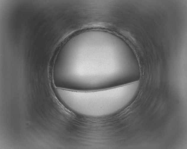 X0000070161404200605260927