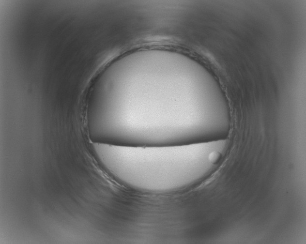 X0000070161405200605260927