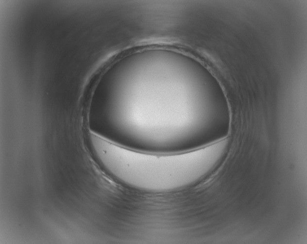 X0000070161406200605260927
