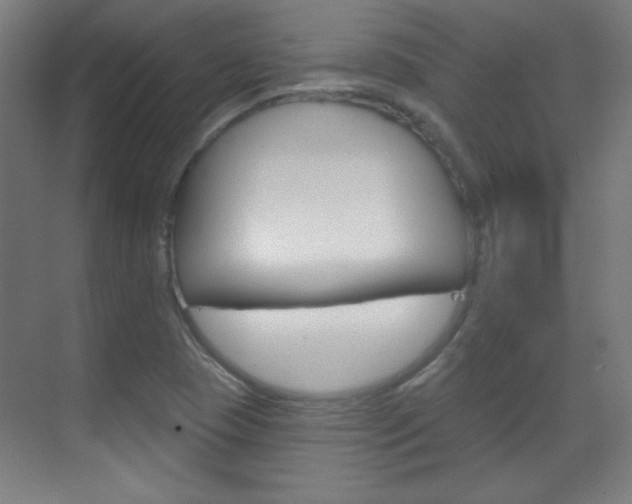 X0000070161409200605260927