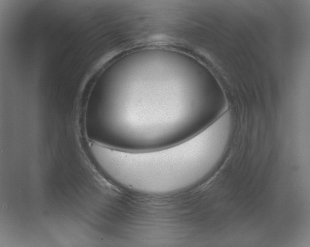 X0000070161410200605260927