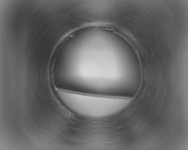 X0000070161412200605260927