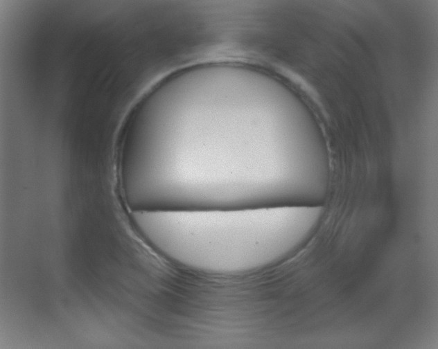 X0000070161415200605260927