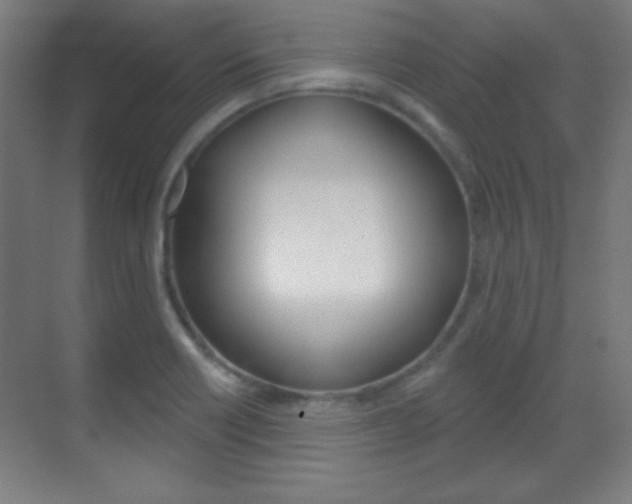 X0000070161418200605260927