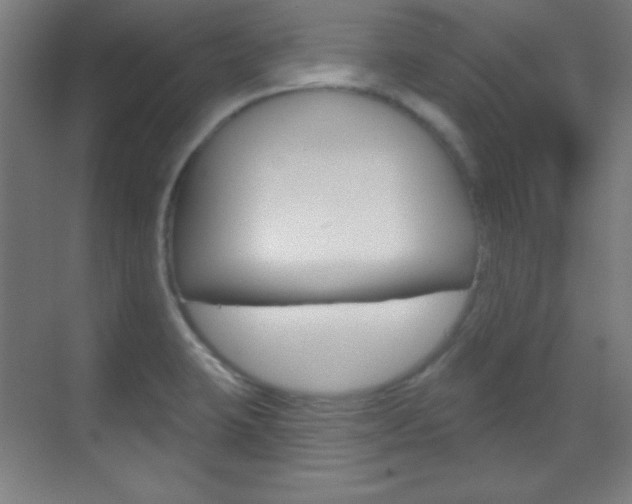 X0000070161423200605260927