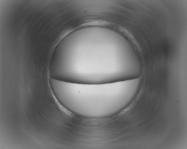X0000070161425200605260927