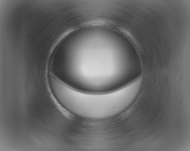X0000070161426200605260927