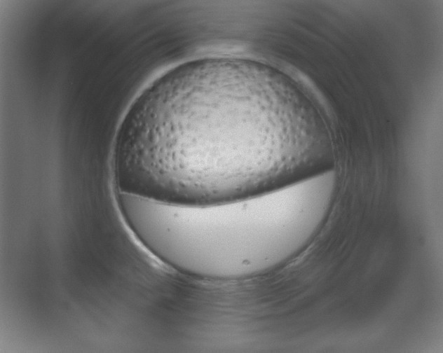 X0000070161432200605260927