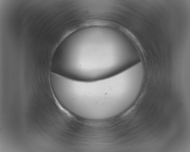 X0000070161433200605260927