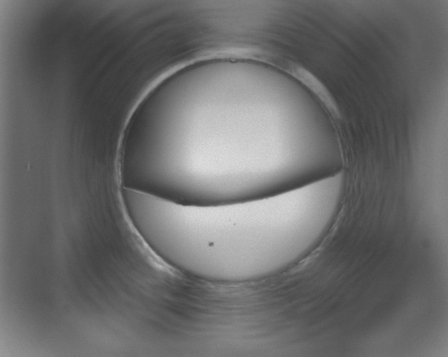 X0000070161436200605260927