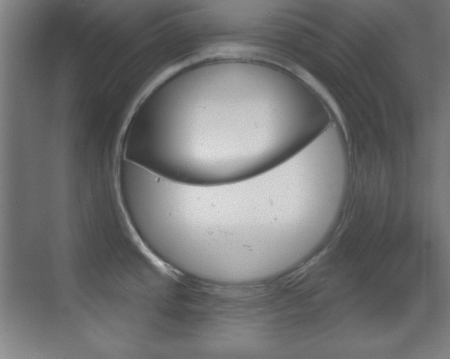 X0000070161437200605260927