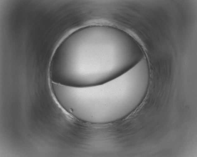 X0000070161440200605260927