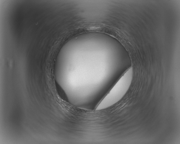 X0000070161441200605260926