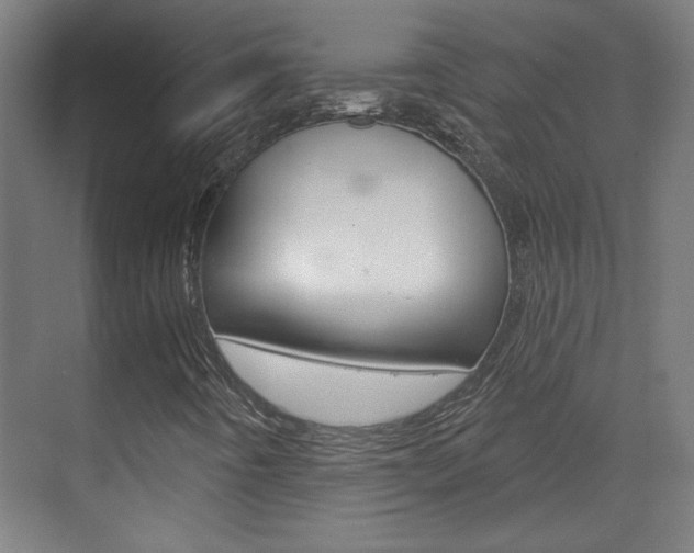 X0000070161442200605260926