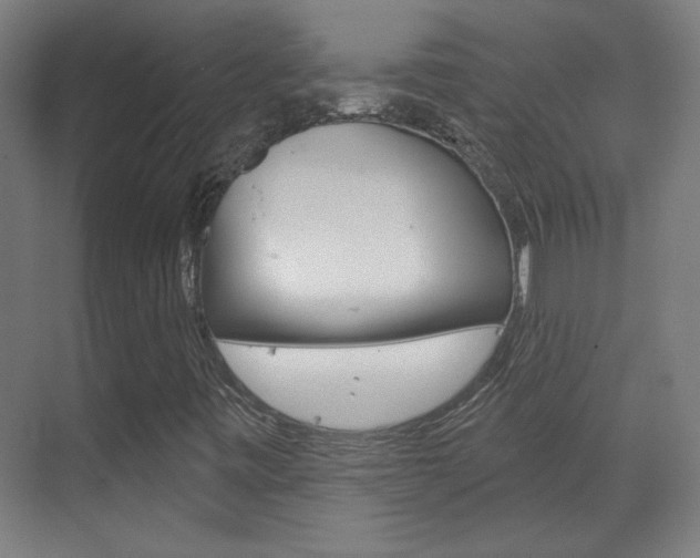 X0000070161443200605260926
