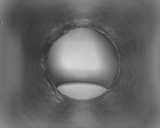 X0000070161445200605260926