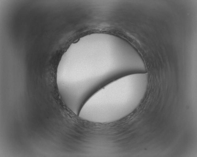 X0000070161447200605260926