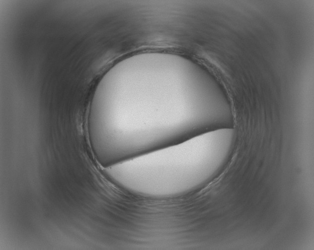 X0000070161451200605260926