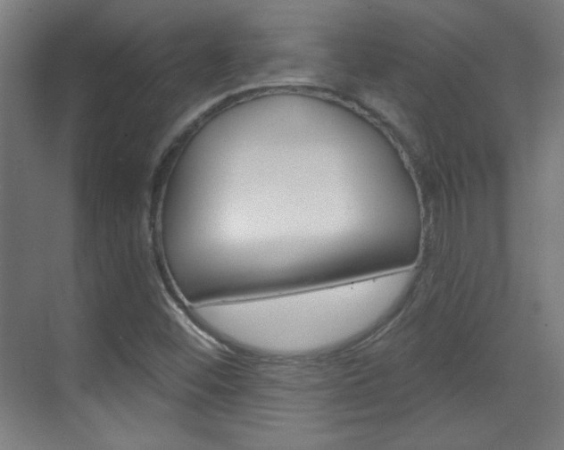 X0000070161452200605260926