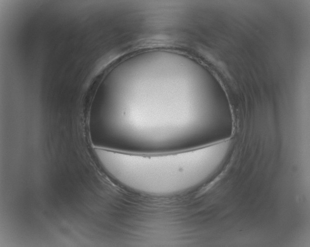 X0000070161453200605260926