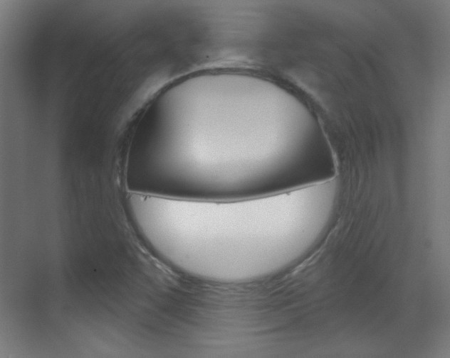 X0000070161455200605260926