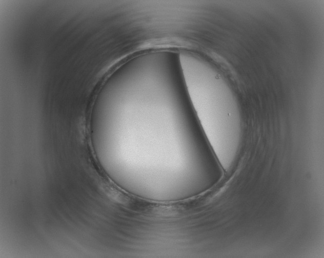 X0000070161457200605260926
