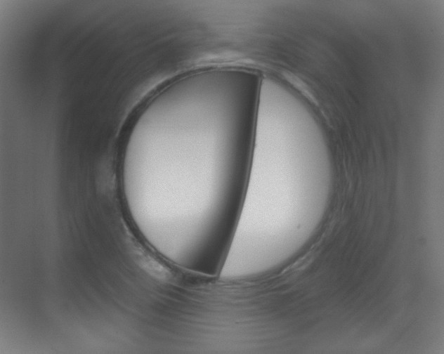 X0000070161458200605260926