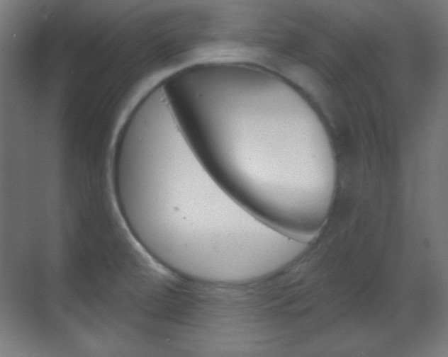 X0000070161472200605260926