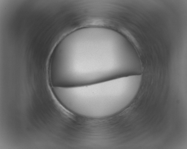 X0000070161475200605260926