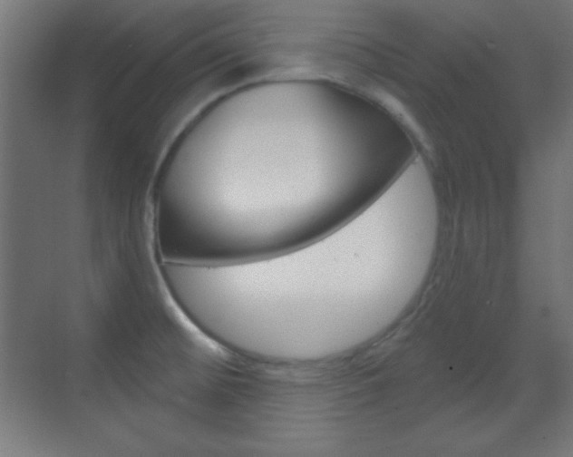 X0000070161476200605260926