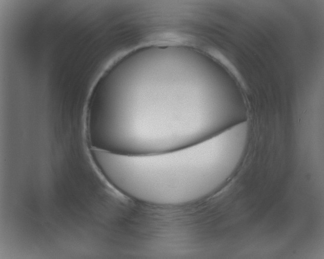 X0000070161477200605260926