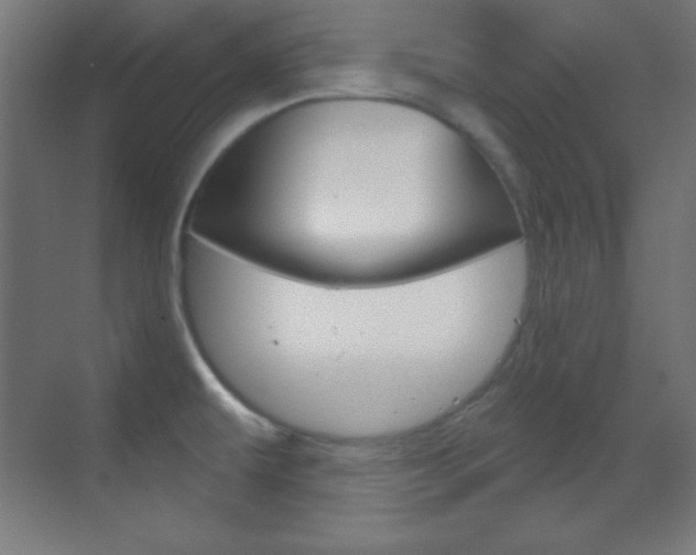 X0000070161479200605260926