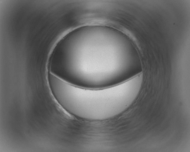 X0000070161480200605260926