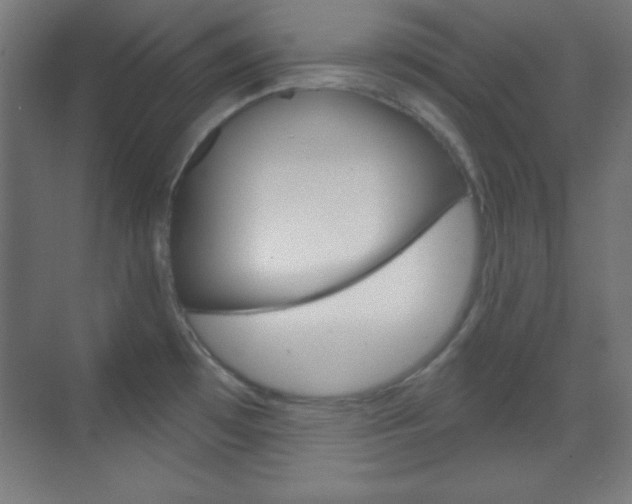 X0000070161481200605260926