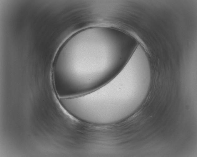 X0000070161484200605260926
