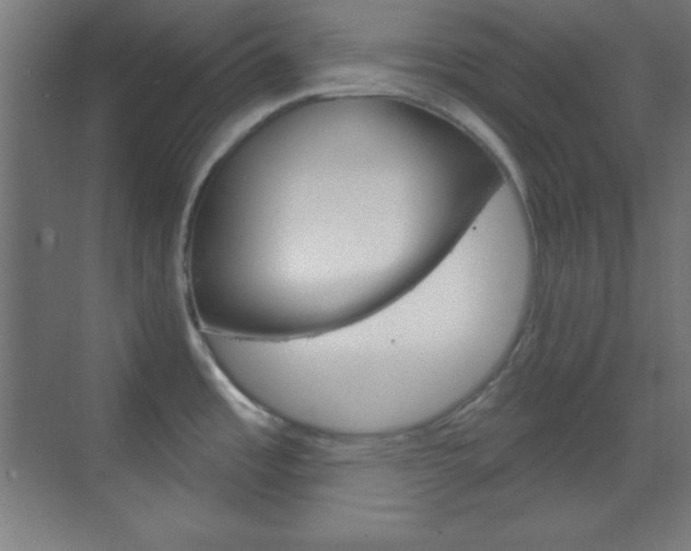 X0000070161485200605260926