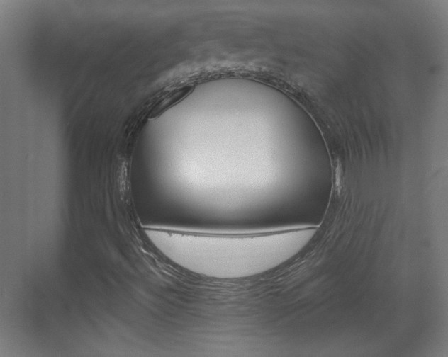 X0000070161492200605260925