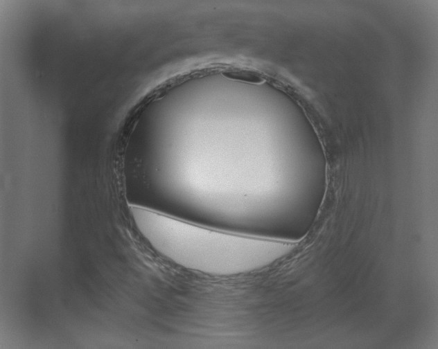 X0000070161496200605260925