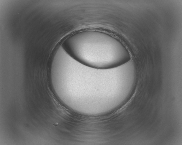 X0000070161497200605260925