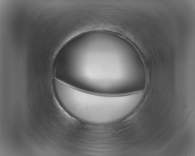 X0000070161500200605260925