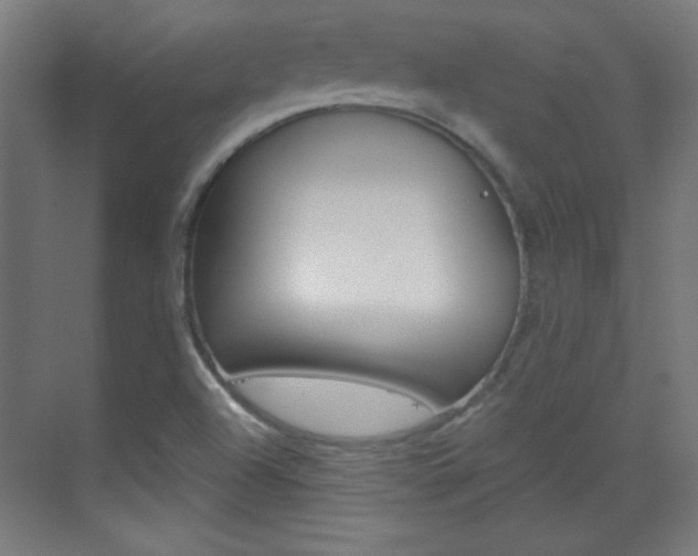 X0000070161504200605260925