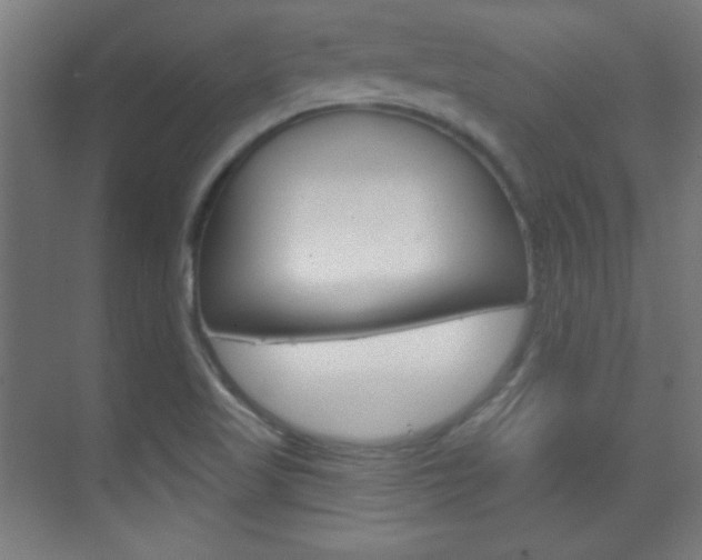 X0000070161509200605260925