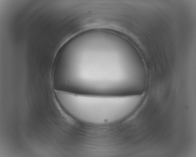 X0000070161513200605260925