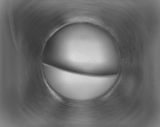 X0000070161521200605260925