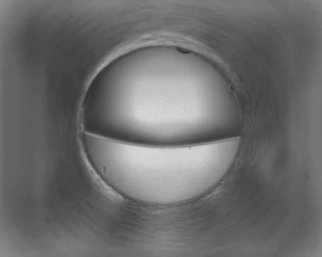 X0000070161522200605260925