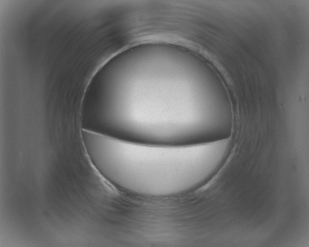 X0000070161529200605260925