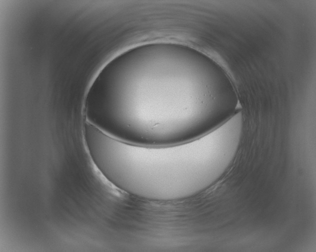 X0000070161532200605260926